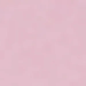 Anorak Insulated 2L Peak Performance