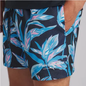 Range Short Print X PTC Puma