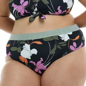 39647150X-368-Noir-BodyGlove-Front.jpgv1737389083 Bas de Maillot Dreamy Marlee Taille Plus - Noir