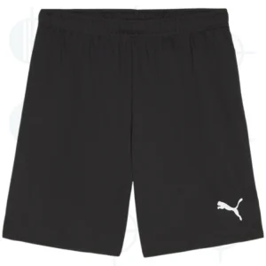 Teamgoal Short Puma