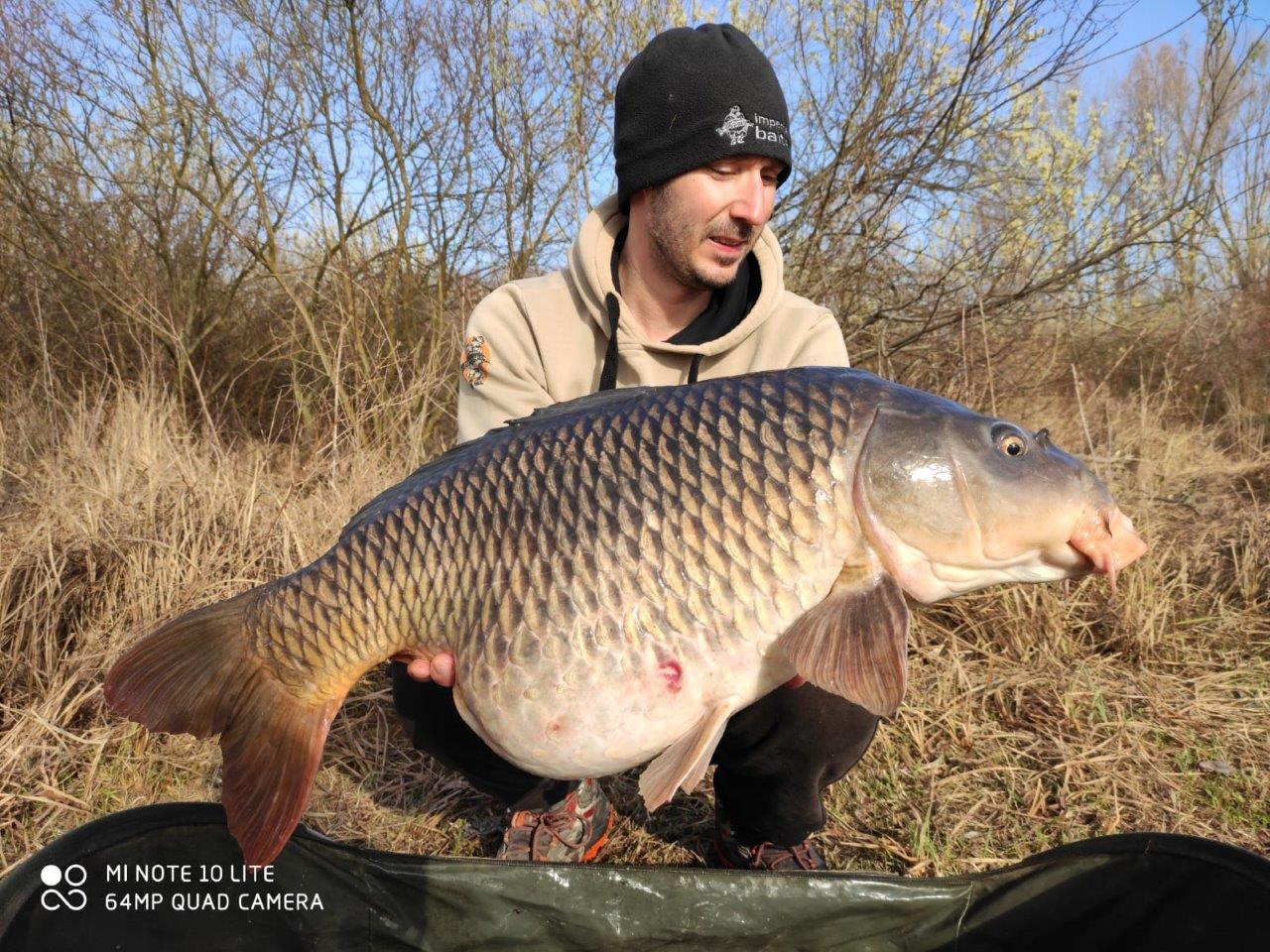 BAITS IMPIRIEL – Image 3