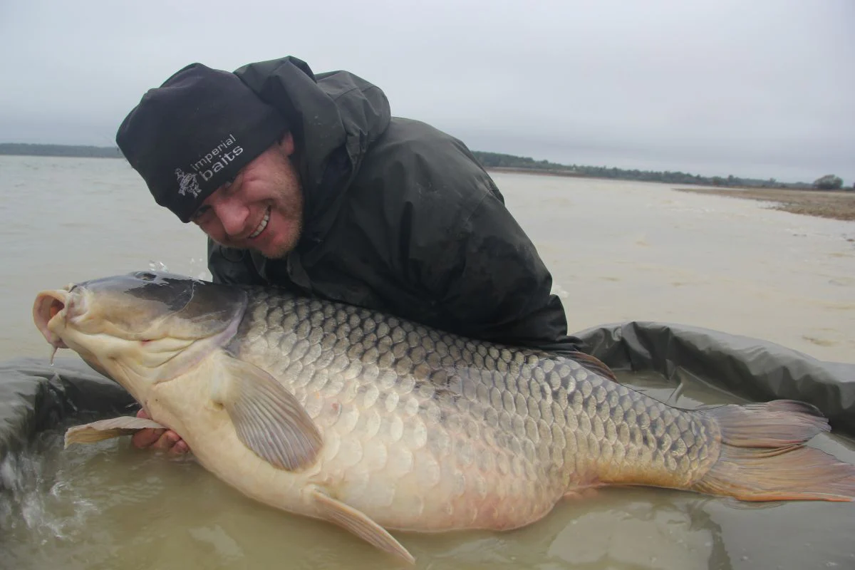 BAITS IMPIRIEL – Image 4