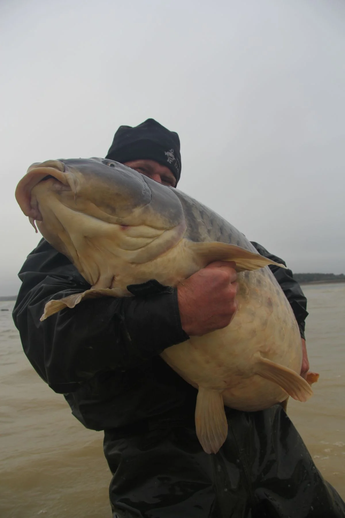 BAITS IMPIRIEL – Image 6