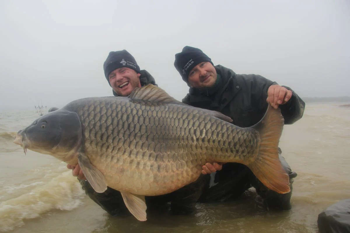 BAITS IMPIRIEL – Image 2